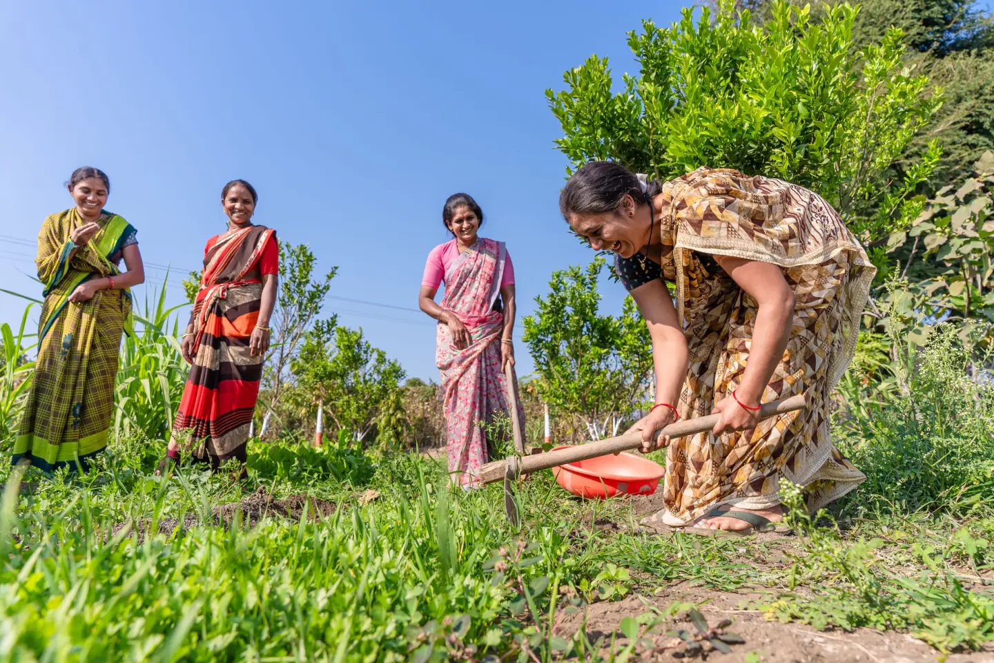 Women farmers working together in a field in Nagpur, India